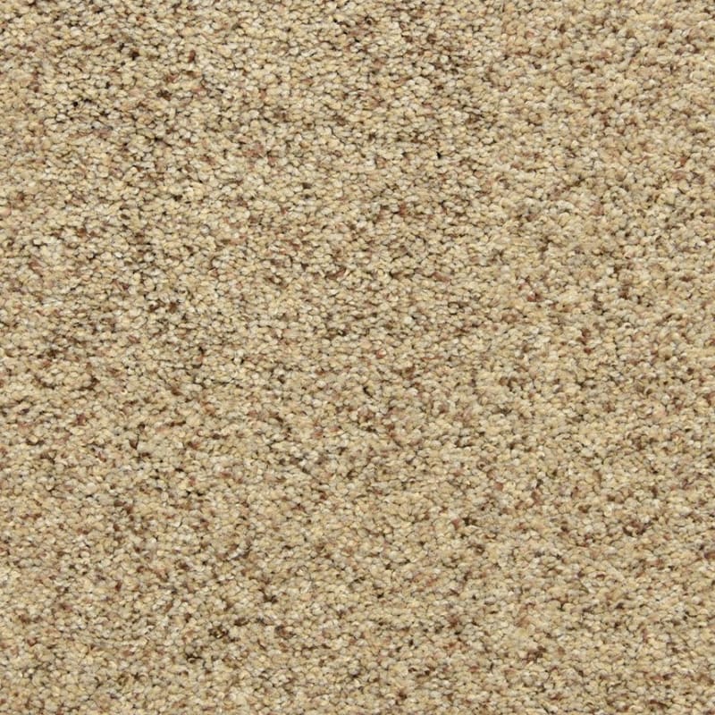 Katie's Comfort carpet by Dixie Home