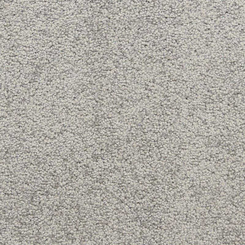 Star Power carpet by Dixie Home