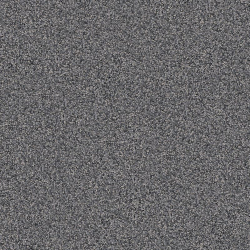Labrador carpet by Dixie Home
