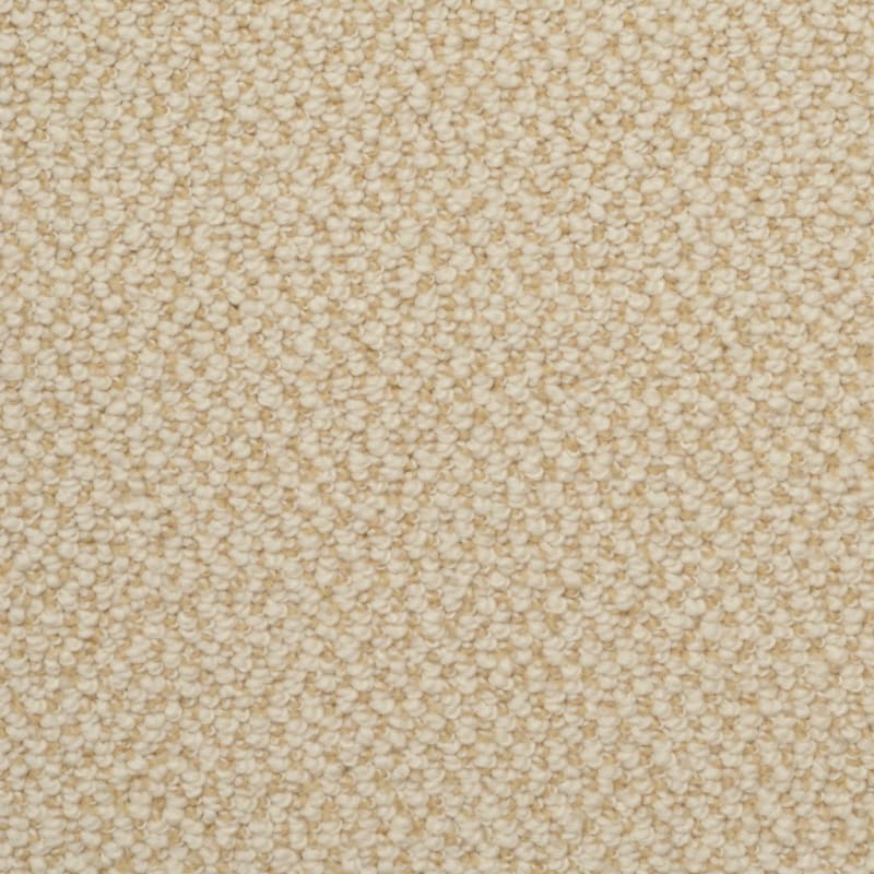 Authentic Living carpet by Dixie Home