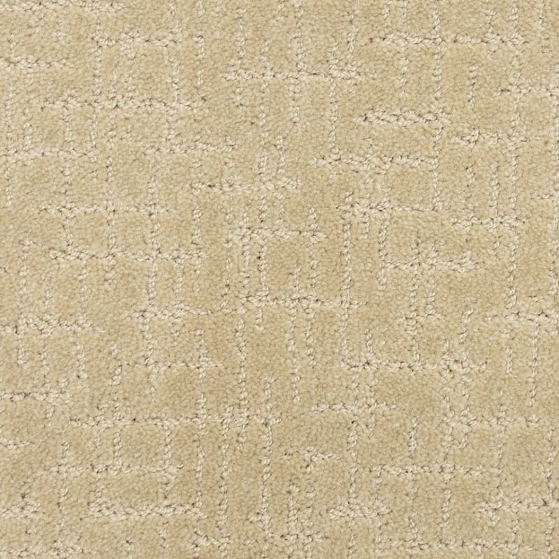 Amazing carpet by Dixie Home