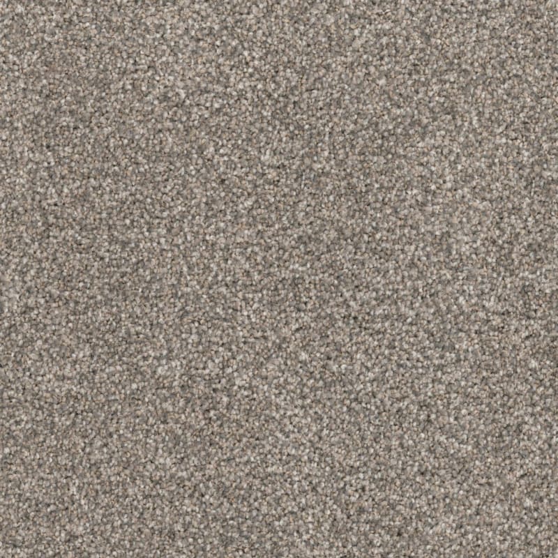 Husky carpet by Dixie Home