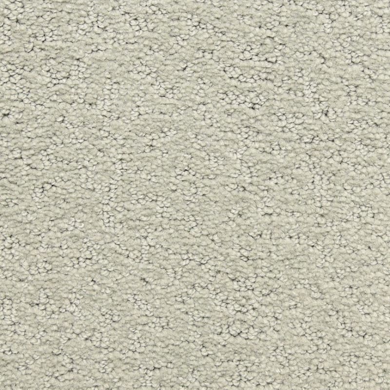 Prize Winner carpet by Dixie Home