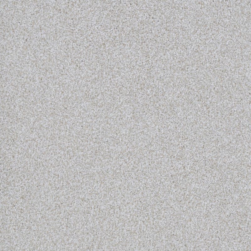 Big Dog carpet by Dixie Home