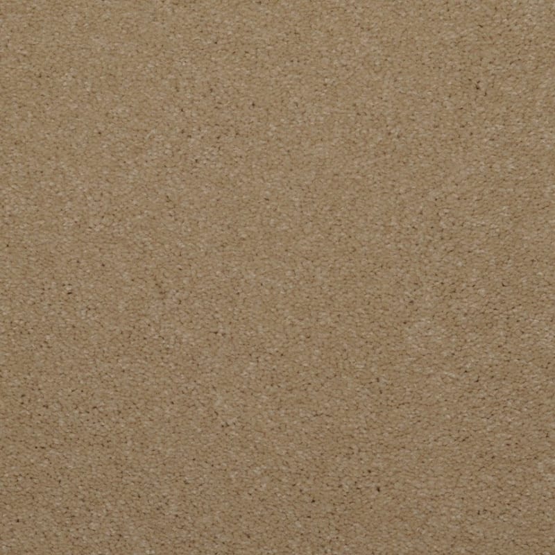Spellbinding carpet by Dixie Home