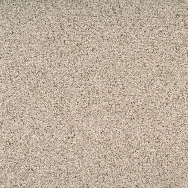 Legit carpet by Dixie Home