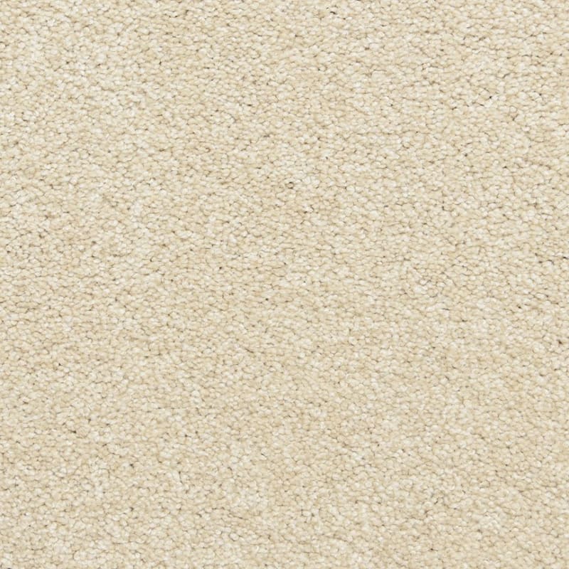 Katie's Comfort carpet by Dixie Home