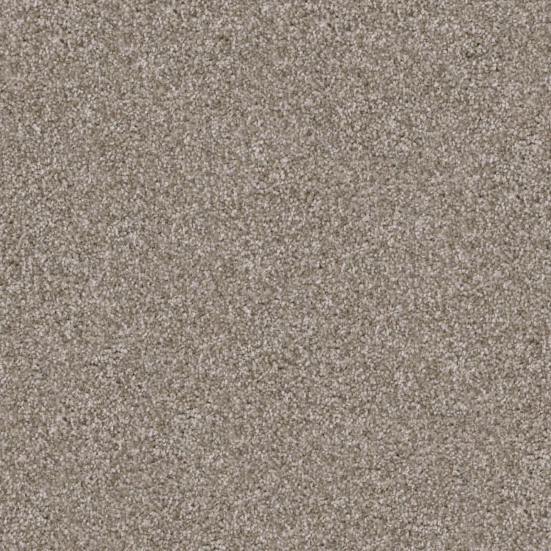 Shepherd carpet by Dixie Home