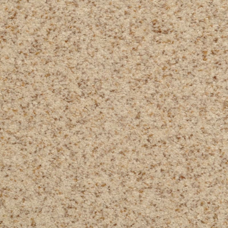 Chromatic Touch carpet by Dixie Home