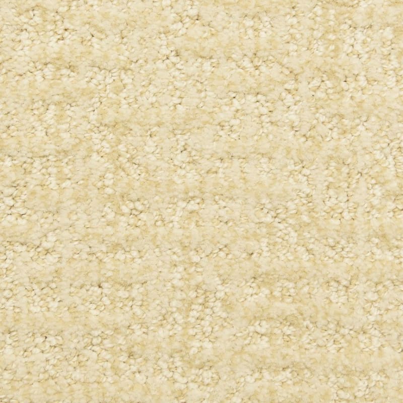 Aspects carpet by Dixie Home