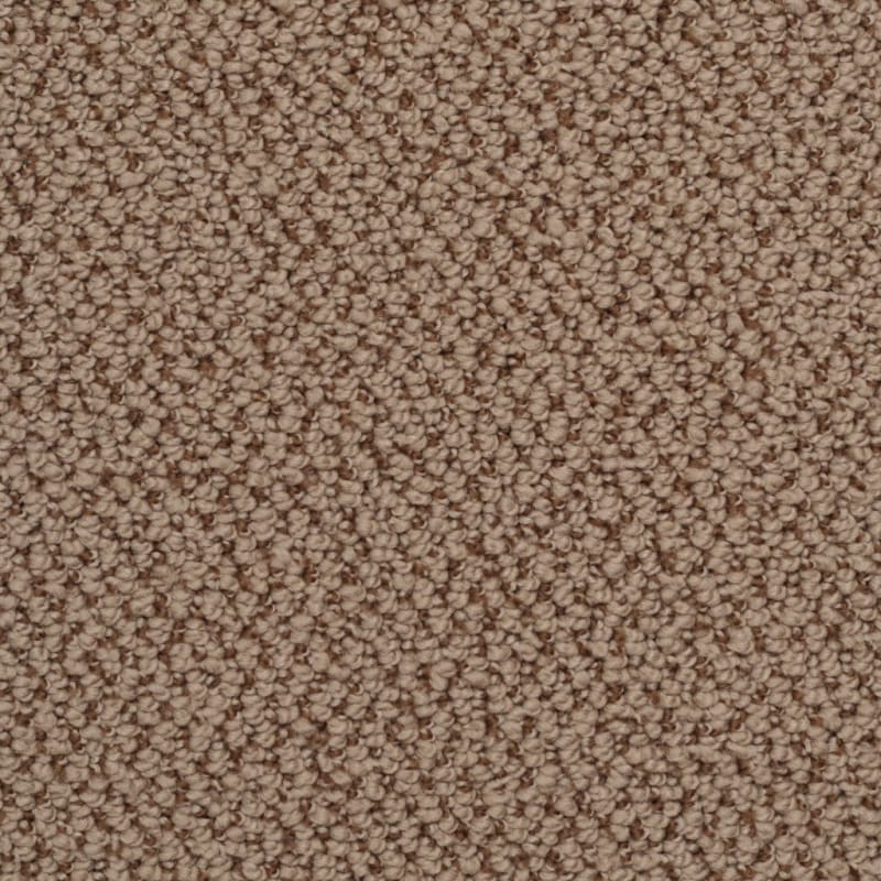 Authentic Living carpet by Dixie Home