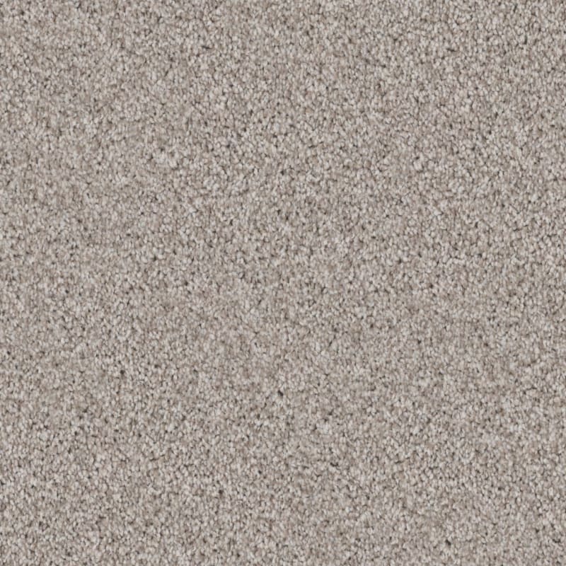 Admiration carpet by Dixie Home