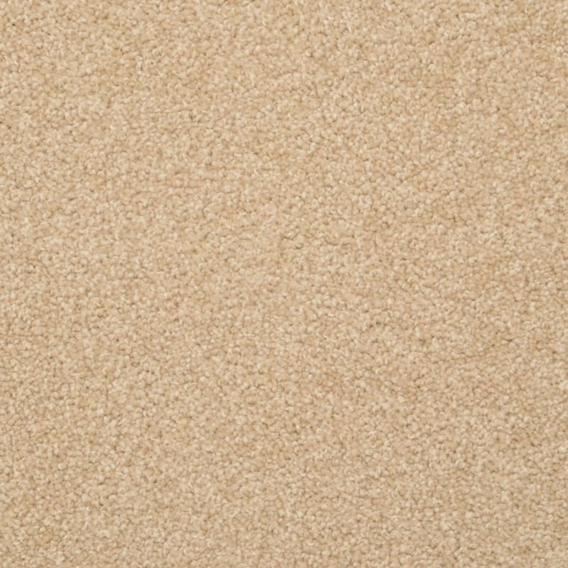 Cozy carpet by Dixie Home