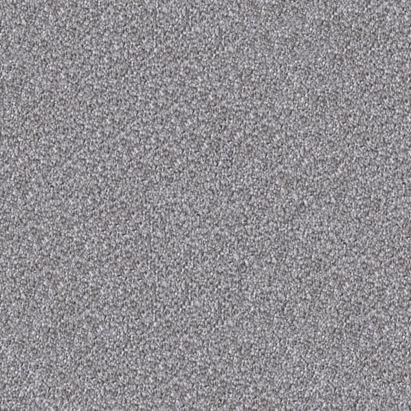 Dx109 carpet by Dixie Home