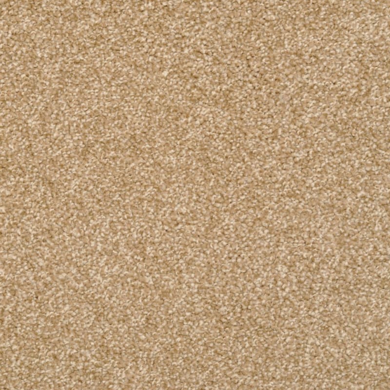 Cozy carpet by Dixie Home
