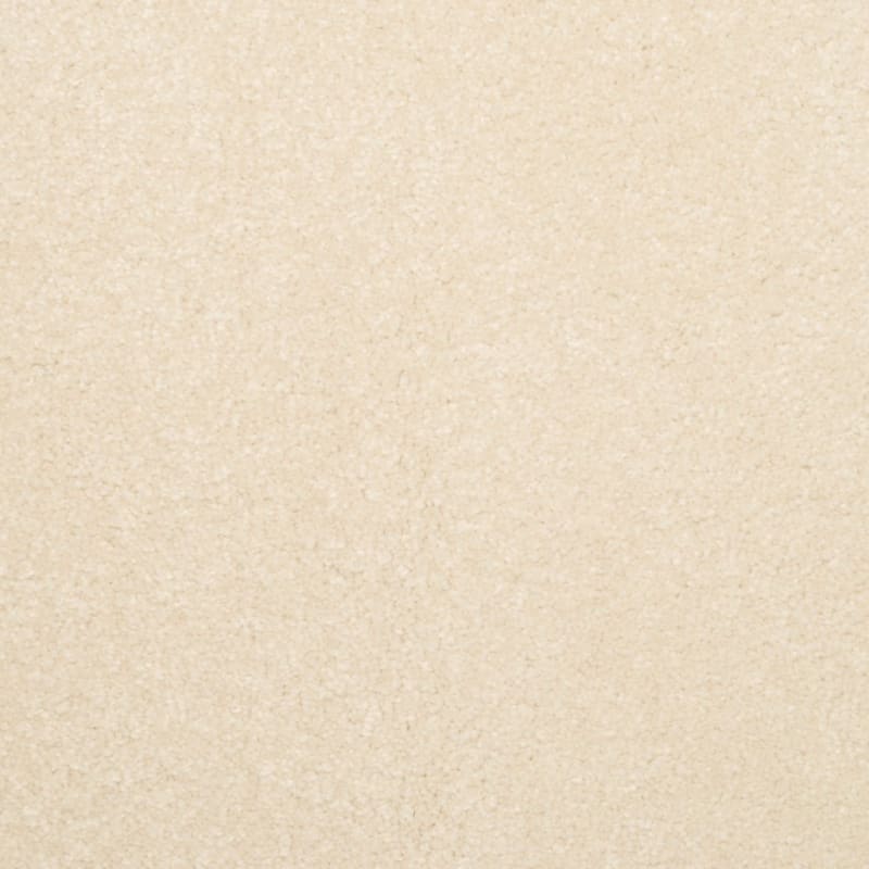 Inspiring carpet by Dixie Home