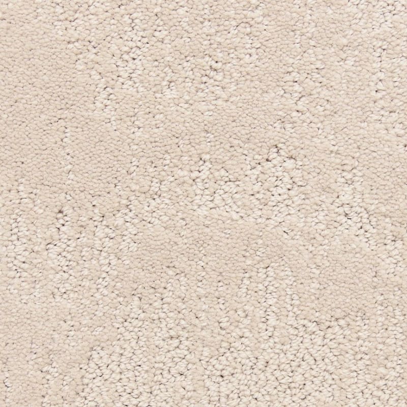 Attributes carpet by Dixie Home