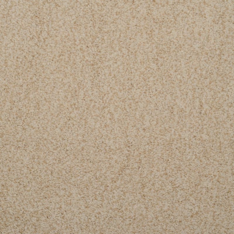 Soft & Silky carpet by Dixie Home