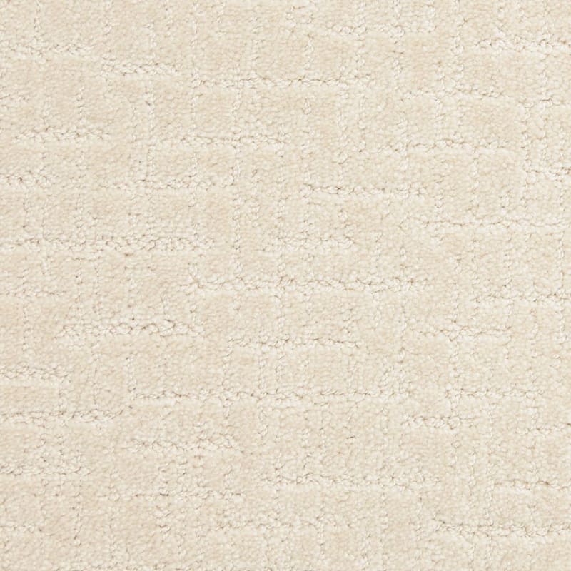 Amazing carpet by Dixie Home