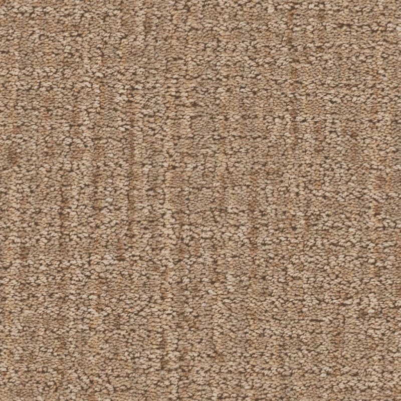 Enticing carpet by Dixie Home