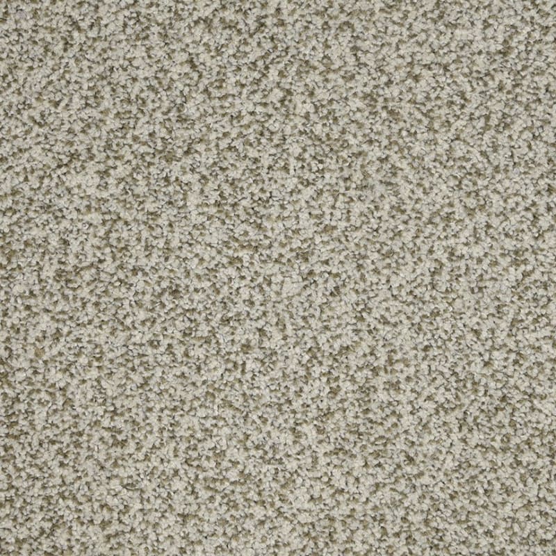 New Age carpet by Dixie Home