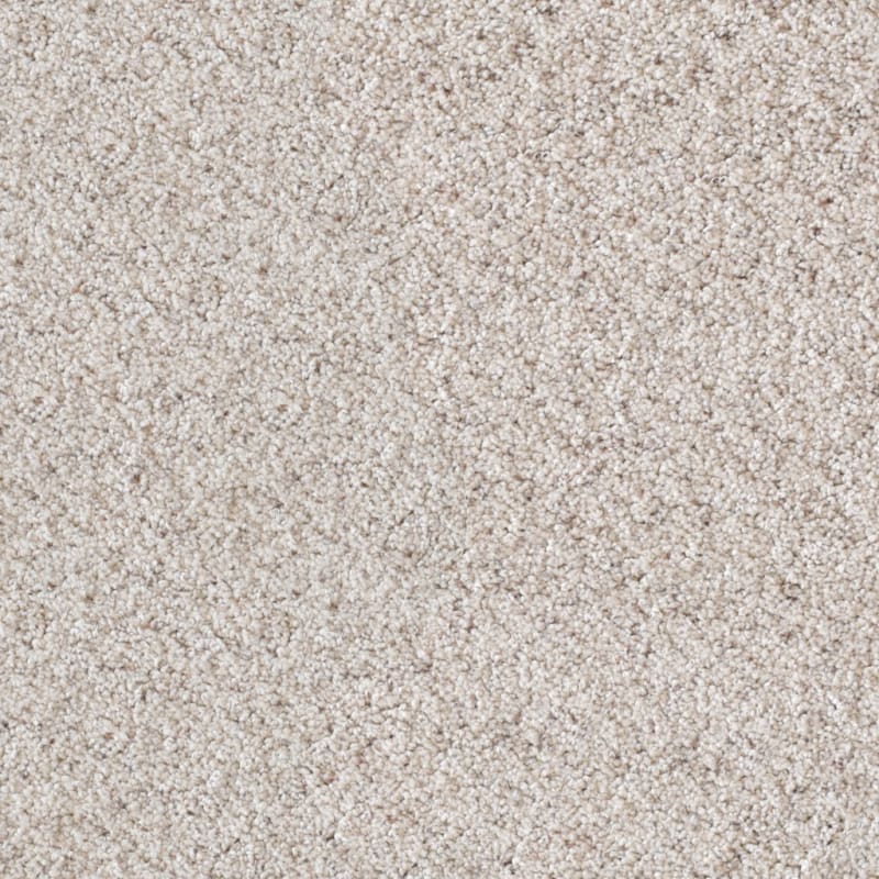 Saint Bernard carpet by Dixie Home