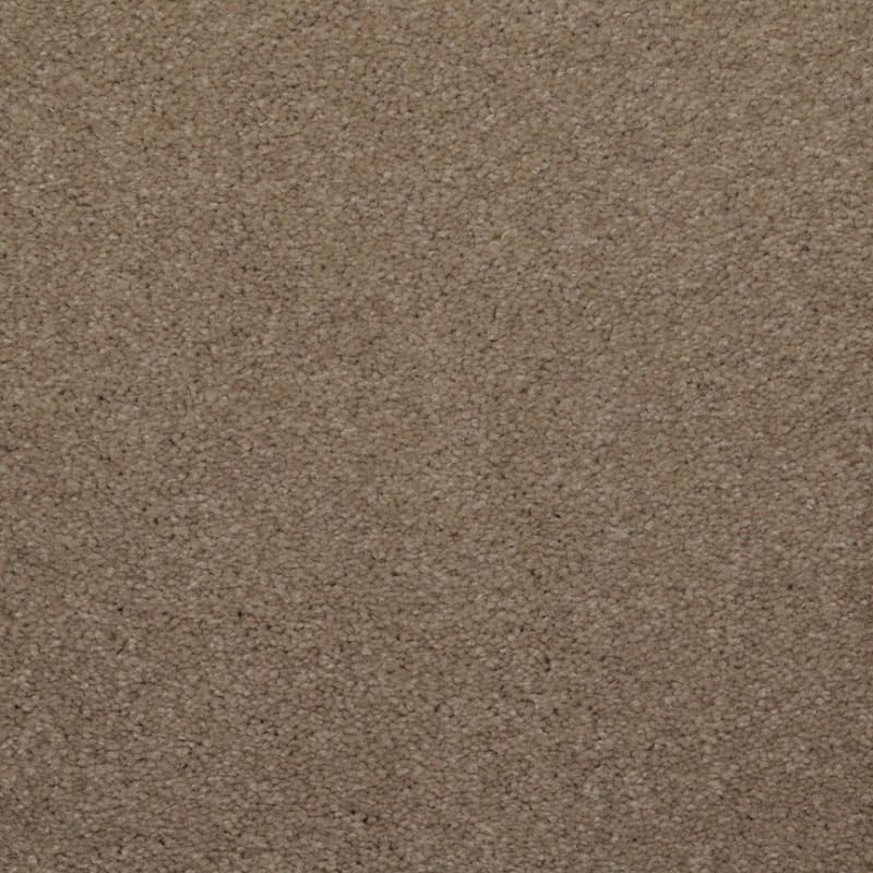 Spellbinding carpet by Dixie Home
