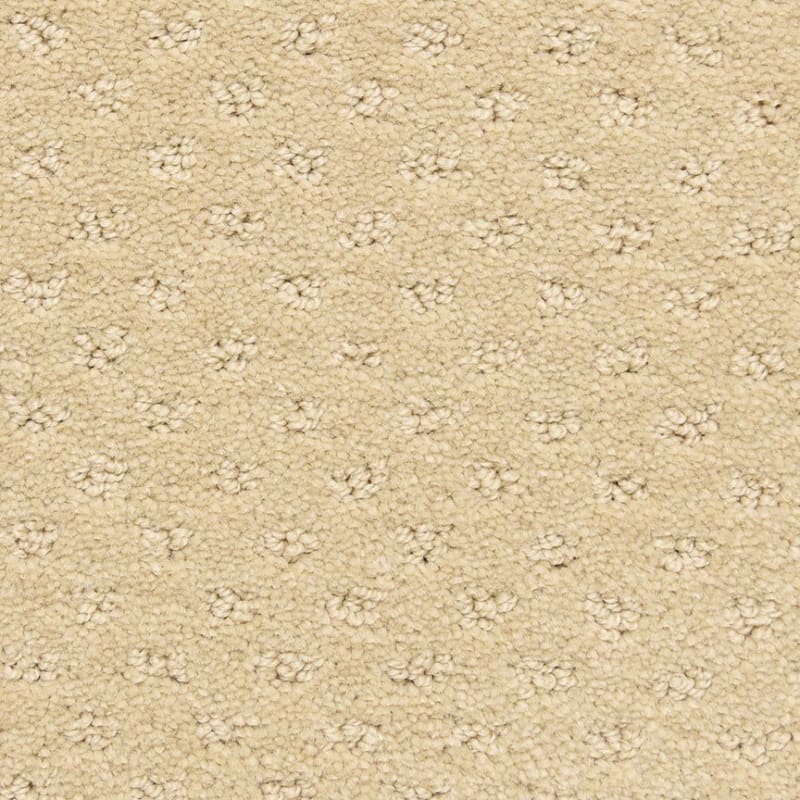 Dreamer carpet by Dixie Home