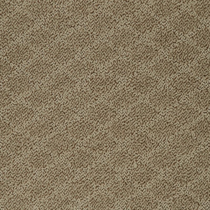 Fine Art carpet by Dixie Home