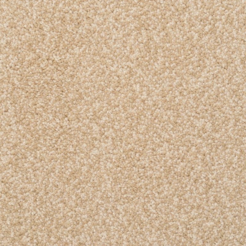 Cozy carpet by Dixie Home