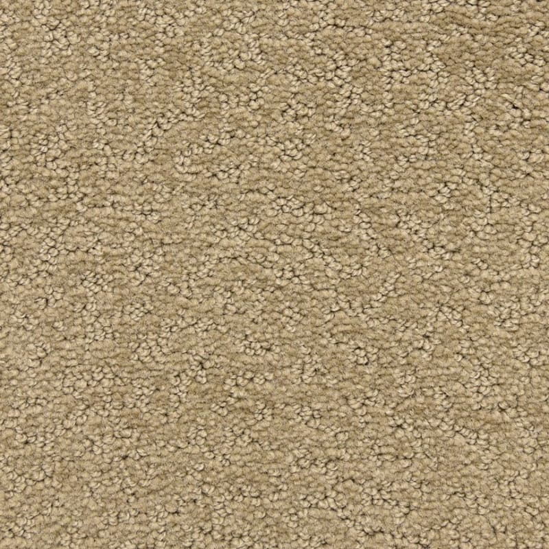 Prize Winner carpet by Dixie Home