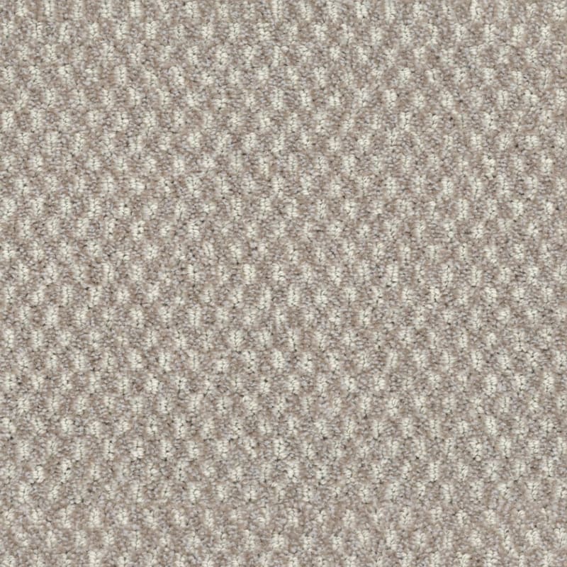 Calm carpet by Dixie Home