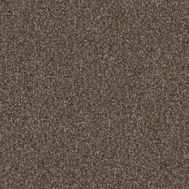 Labrador carpet by Dixie Home