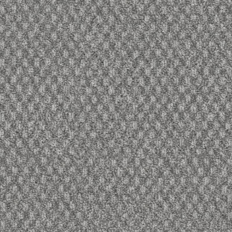 Calm carpet by Dixie Home