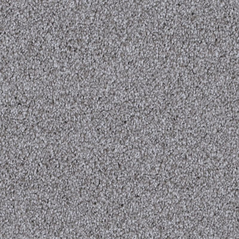 Dx169 carpet by Dixie Home