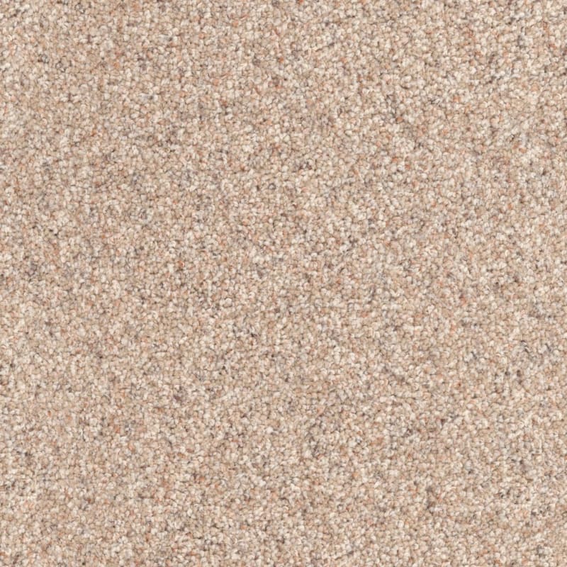Husky carpet by Dixie Home