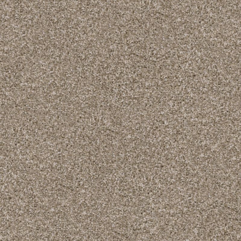 Shepherd carpet by Dixie Home