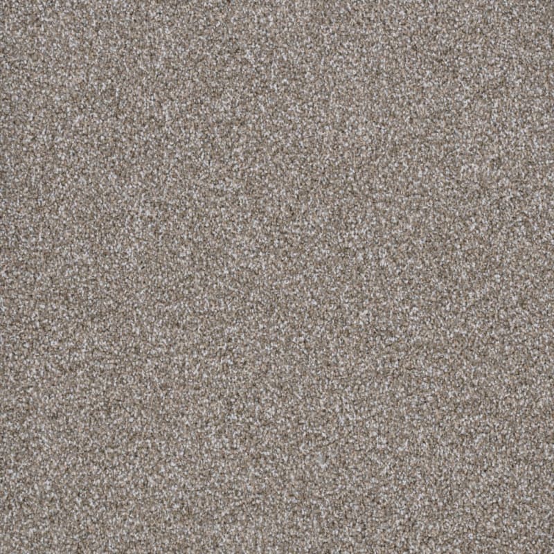 Top Dog carpet by Dixie Home