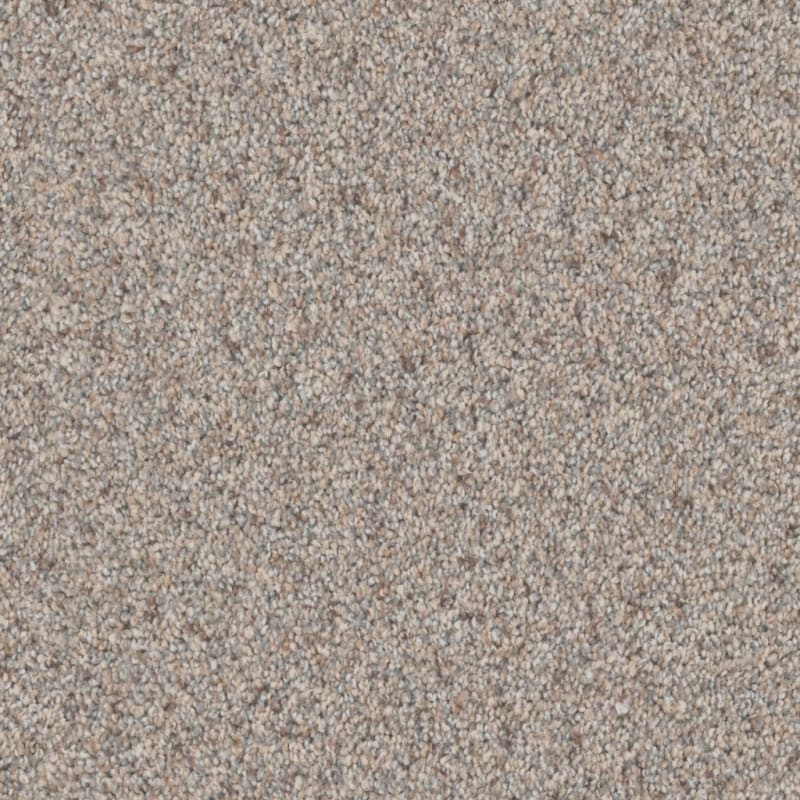 Adore carpet by Dixie Home