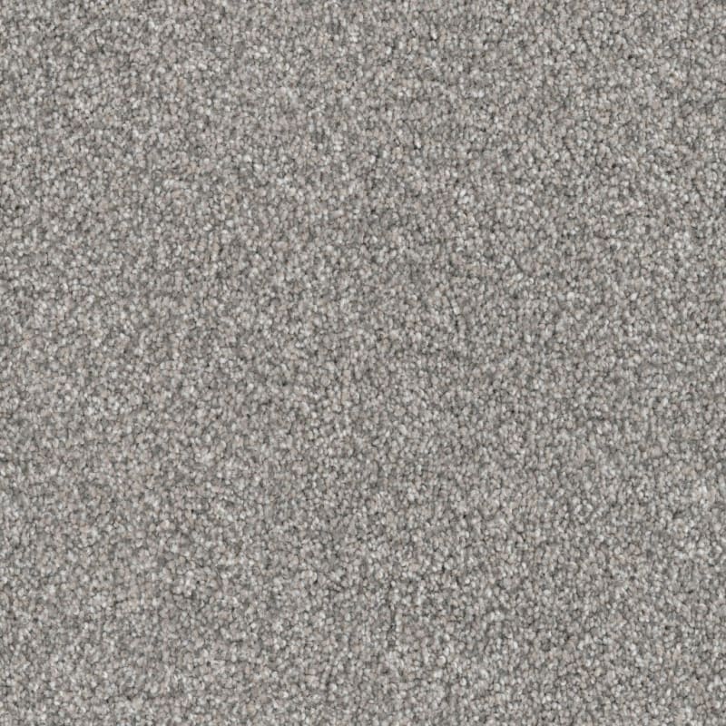 Husky carpet by Dixie Home
