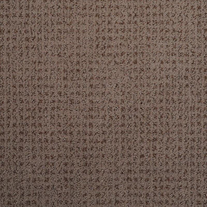 Sterling carpet by Dixie Home