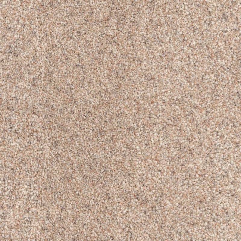 Great Dane carpet by Dixie Home