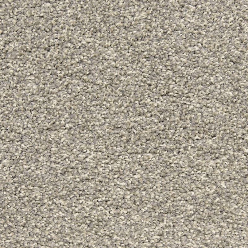 Rochelle carpet by Dixie Home