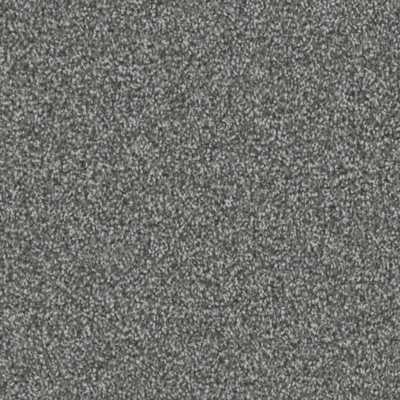 Dx836 carpet by Dixie Home