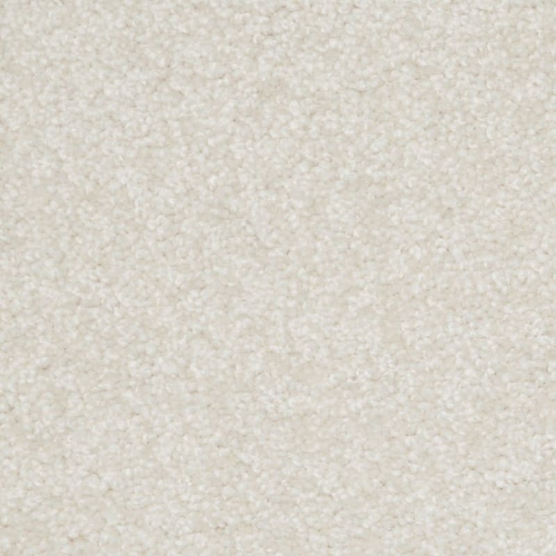 Treasured Moment carpet by Dixie Home