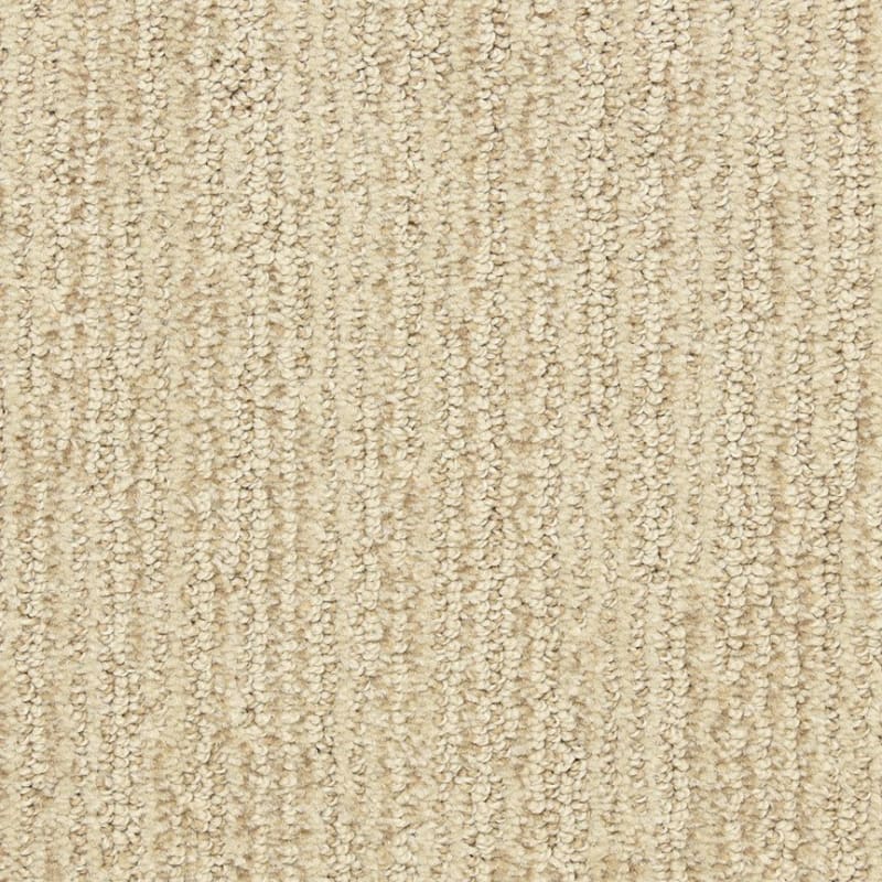 Smash Hit carpet by Dixie Home