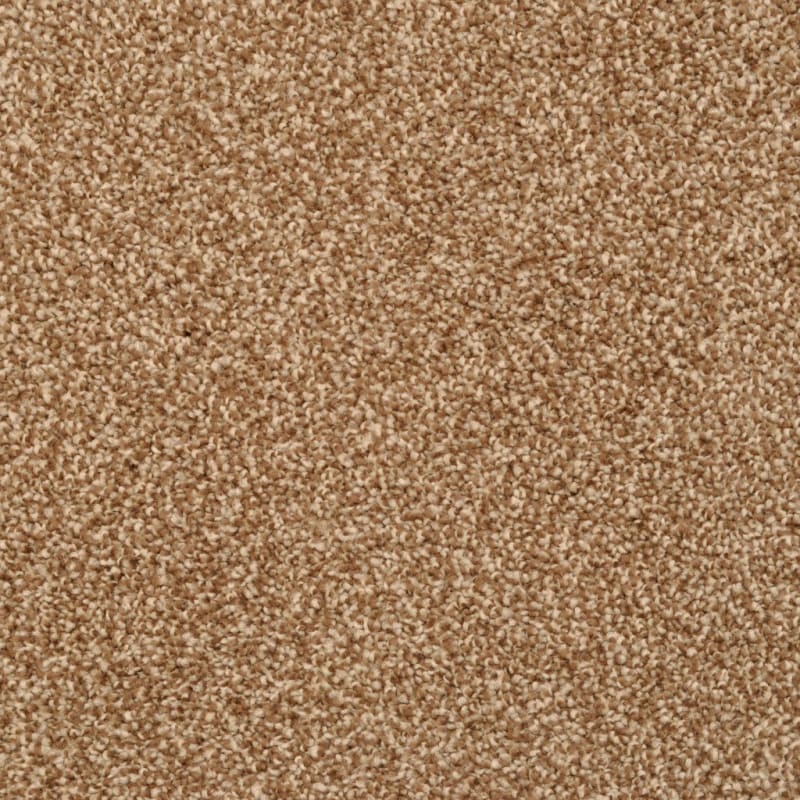 Cozy carpet by Dixie Home