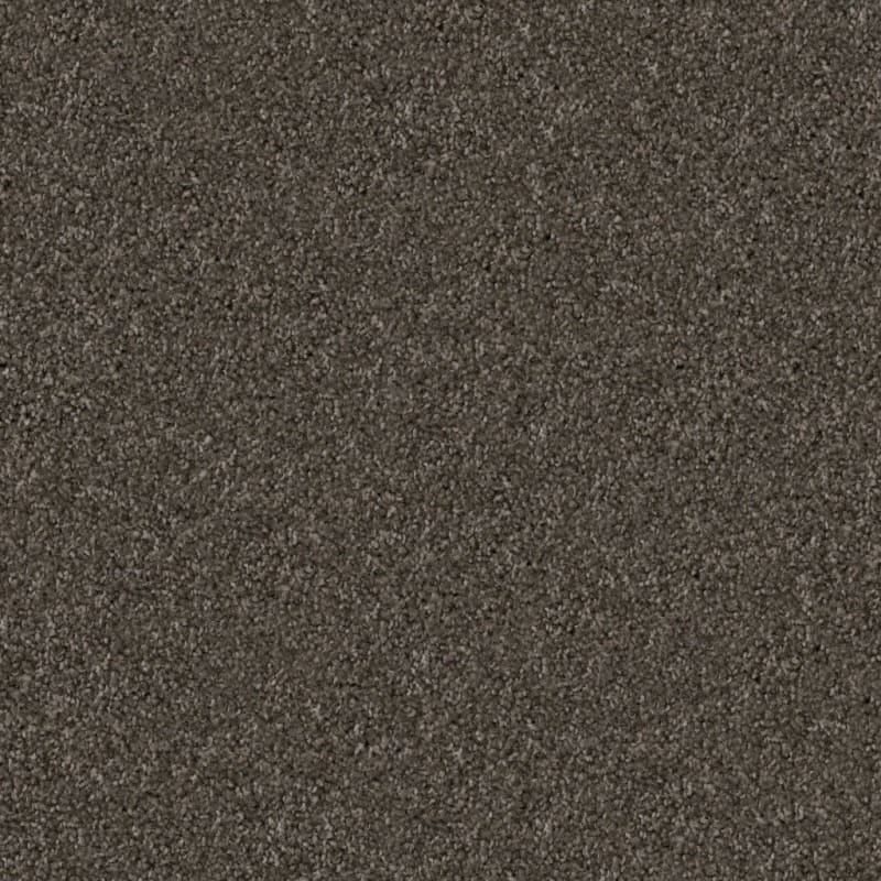 Labrador carpet by Dixie Home
