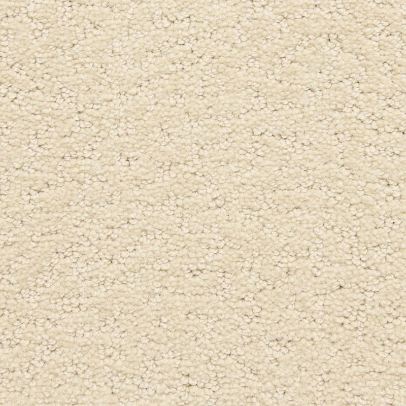 Prize Winner carpet by Dixie Home