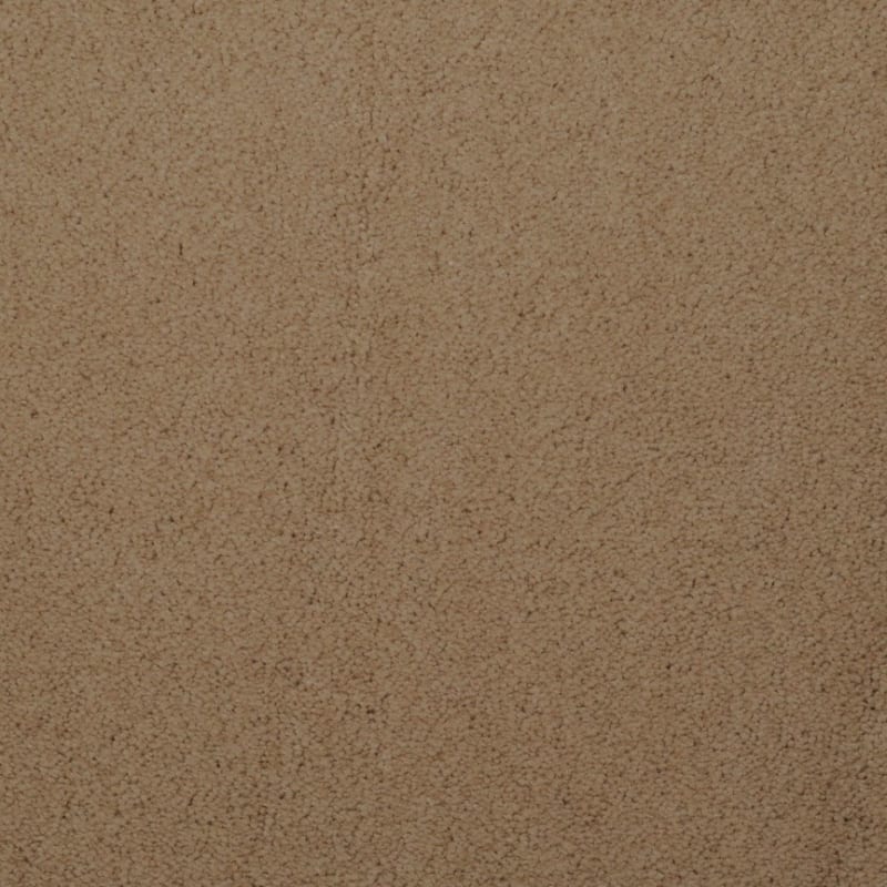 Touch of Velvet carpet by Dixie Home